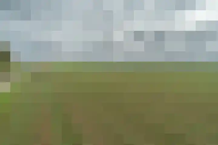 Zuidhof 21 Rilland thumbnail 39