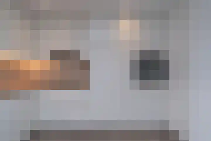 Zuidhof 21 Rilland thumbnail 4
