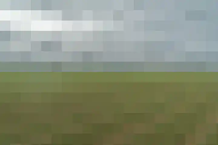 Zuidhof 21 Rilland thumbnail 40