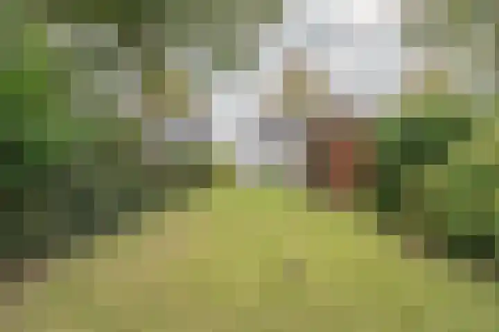 Zuidhof 21 Rilland thumbnail 5