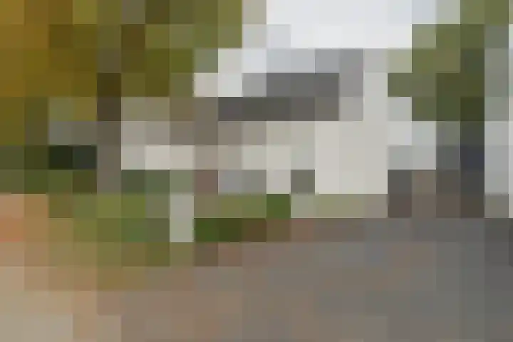 Zuidhof 21 Rilland thumbnail 6