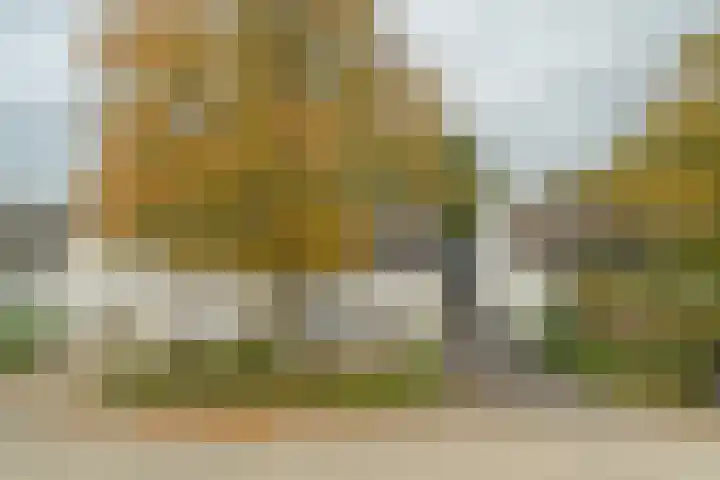 Zuidhof 21 Rilland thumbnail 7