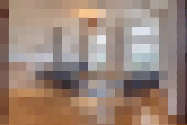 Zuidhof 21 Rilland thumbnail 8