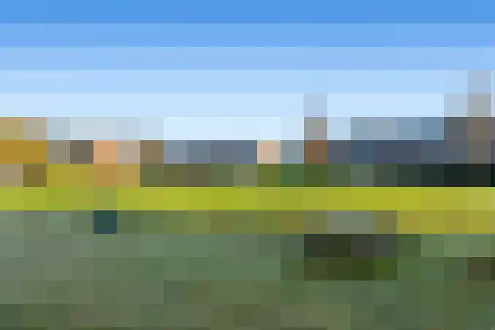 Zuidhoffstraat 4 Veendam thumbnail 36