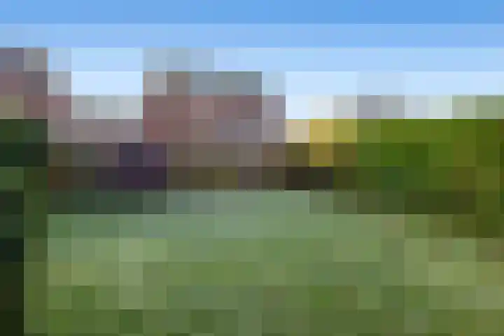 Zuidhoffstraat 4 Veendam thumbnail 5