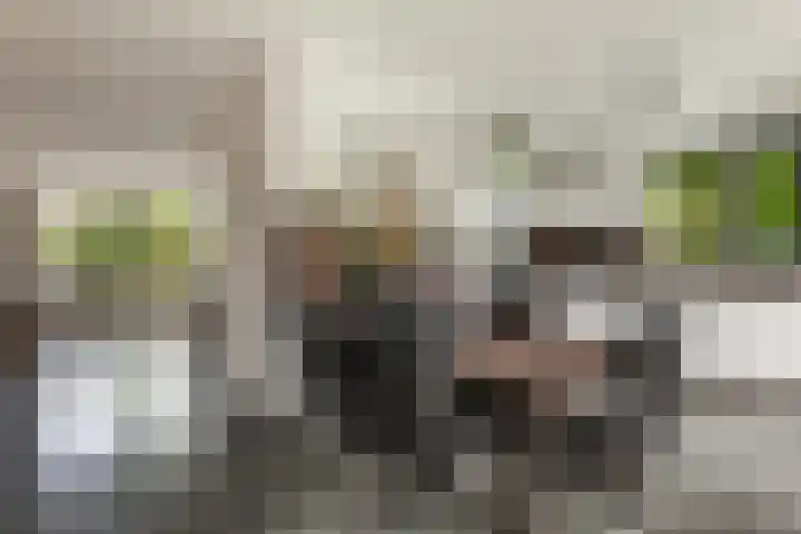 Zuidhoffstraat 8 Veendam thumbnail 11