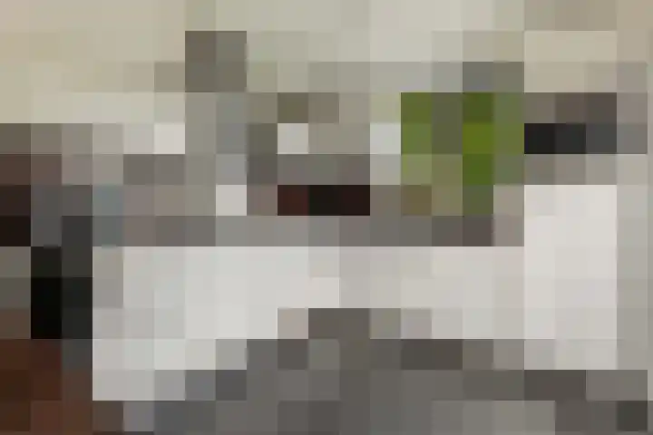 Zuidhoffstraat 8 Veendam thumbnail 12