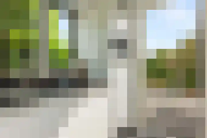 Zuidhoffstraat 8 Veendam thumbnail 13