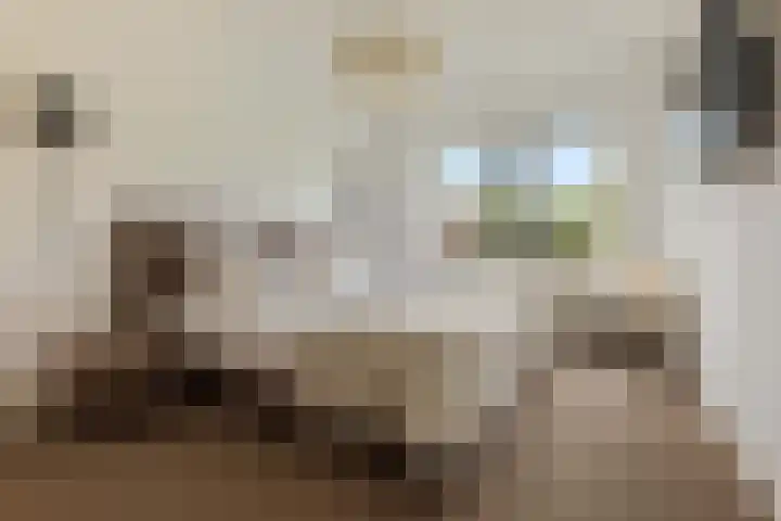 Zuidhoffstraat 8 Veendam thumbnail 15