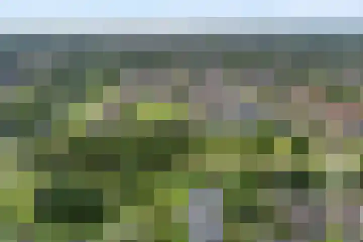 Zuidhoffstraat 8 Veendam thumbnail 32