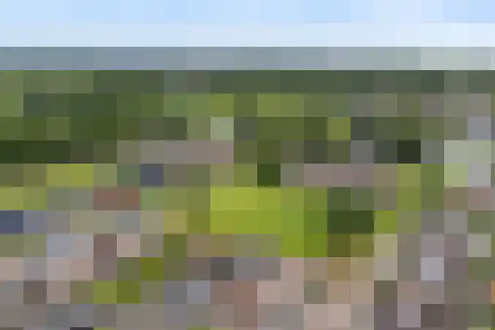 Zuidhoffstraat 8 Veendam thumbnail 5