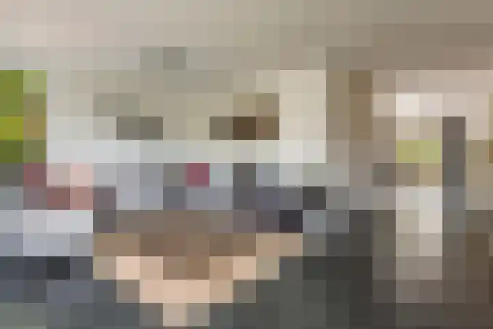 Zuidhoffstraat 8 Veendam thumbnail 8