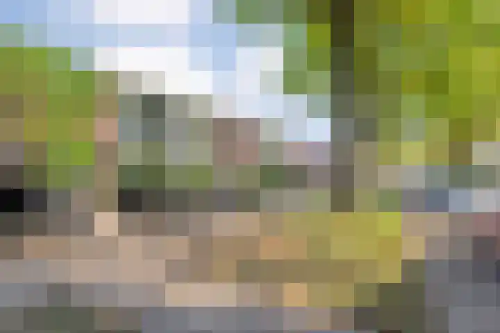 Zuidhollandlaan 21 Enschede thumbnail 21