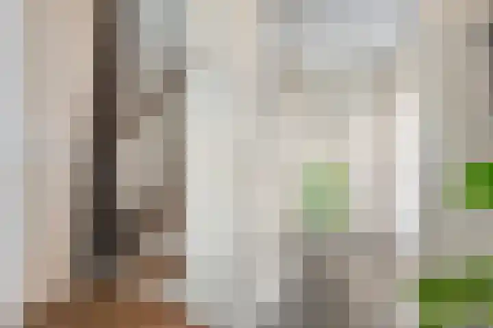 Zuidhollandlaan 21 Enschede thumbnail 8