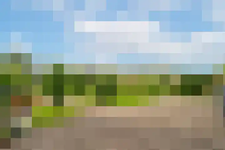 Zuidhollandsedijk 141 Kaatsheuvel thumbnail 6