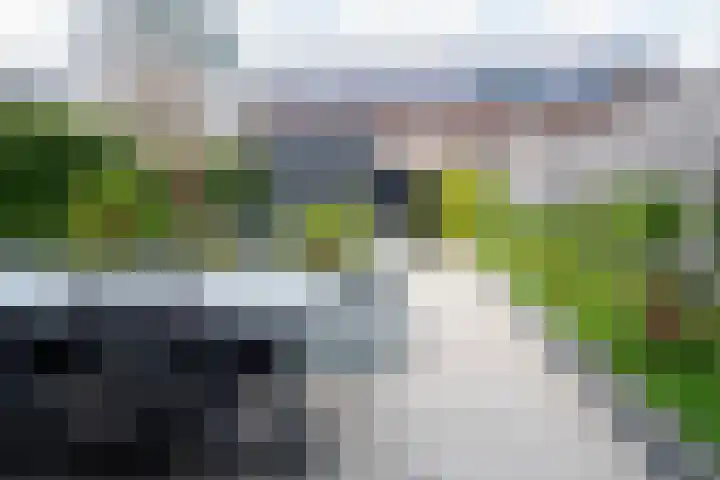 Zuidhornstraat 7 Tilburg thumbnail 35