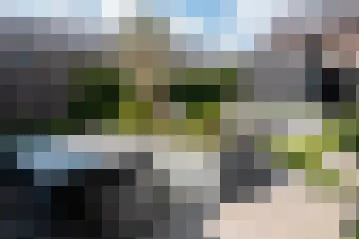 Zuidhornstraat 7 Tilburg thumbnail 36