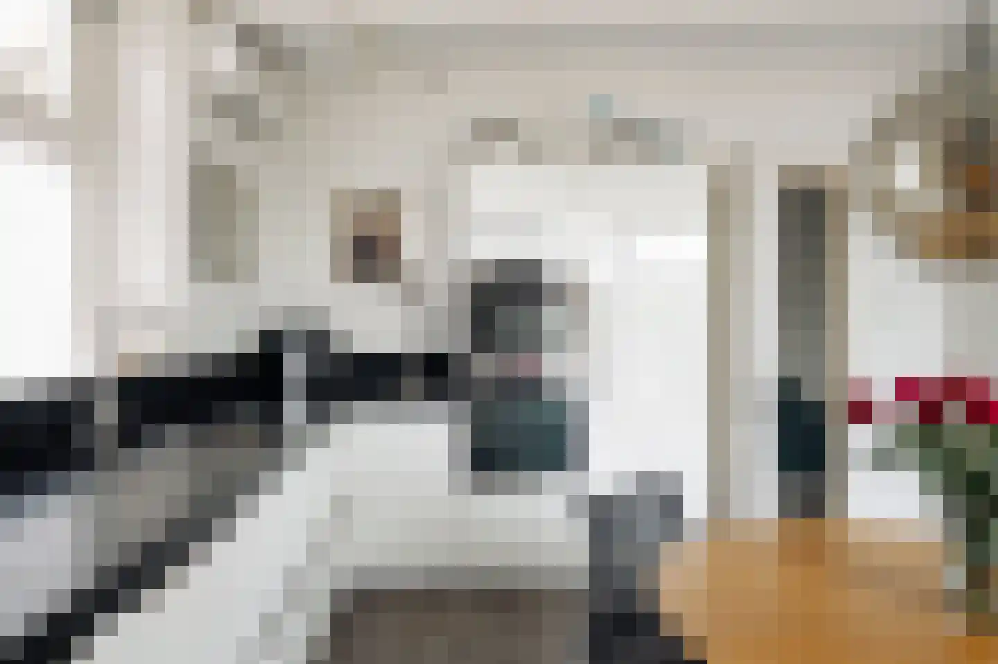 Zuidje 1 Schermerhorn thumbnail 12