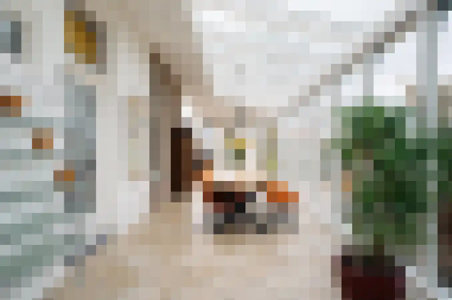Zuidje 1 Schermerhorn thumbnail 12