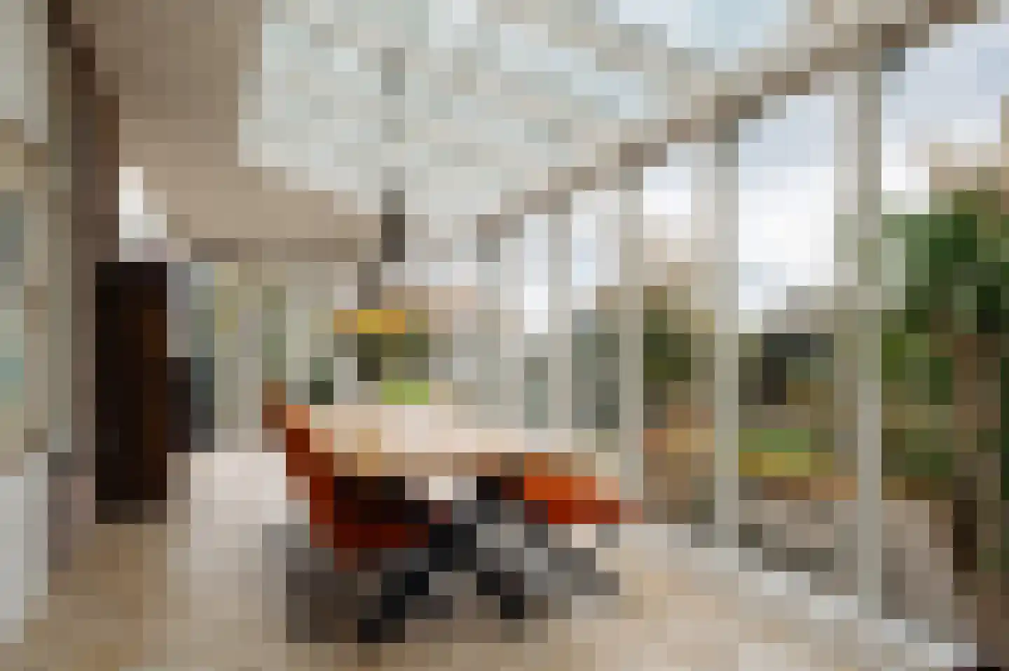 Zuidje 1 Schermerhorn thumbnail 15