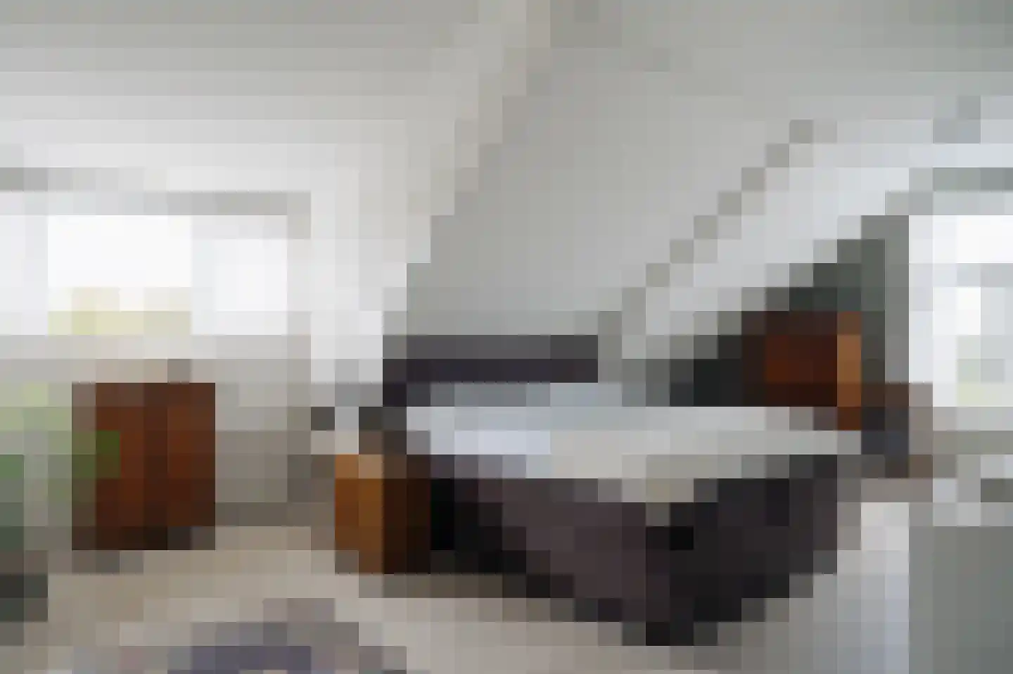 Zuidje 1 Schermerhorn thumbnail 20