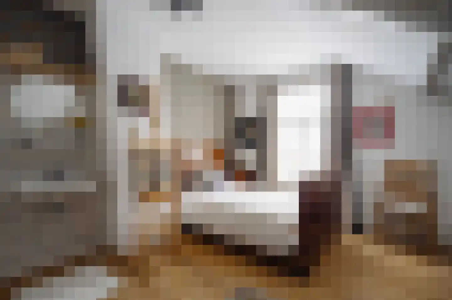 Zuidje 1 Schermerhorn thumbnail 24