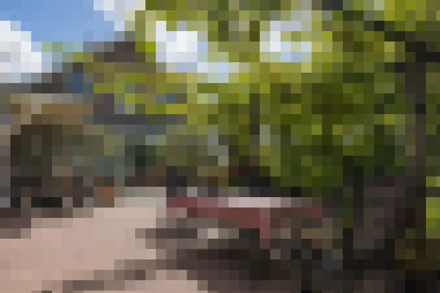 Zuidje 1 Schermerhorn thumbnail 30