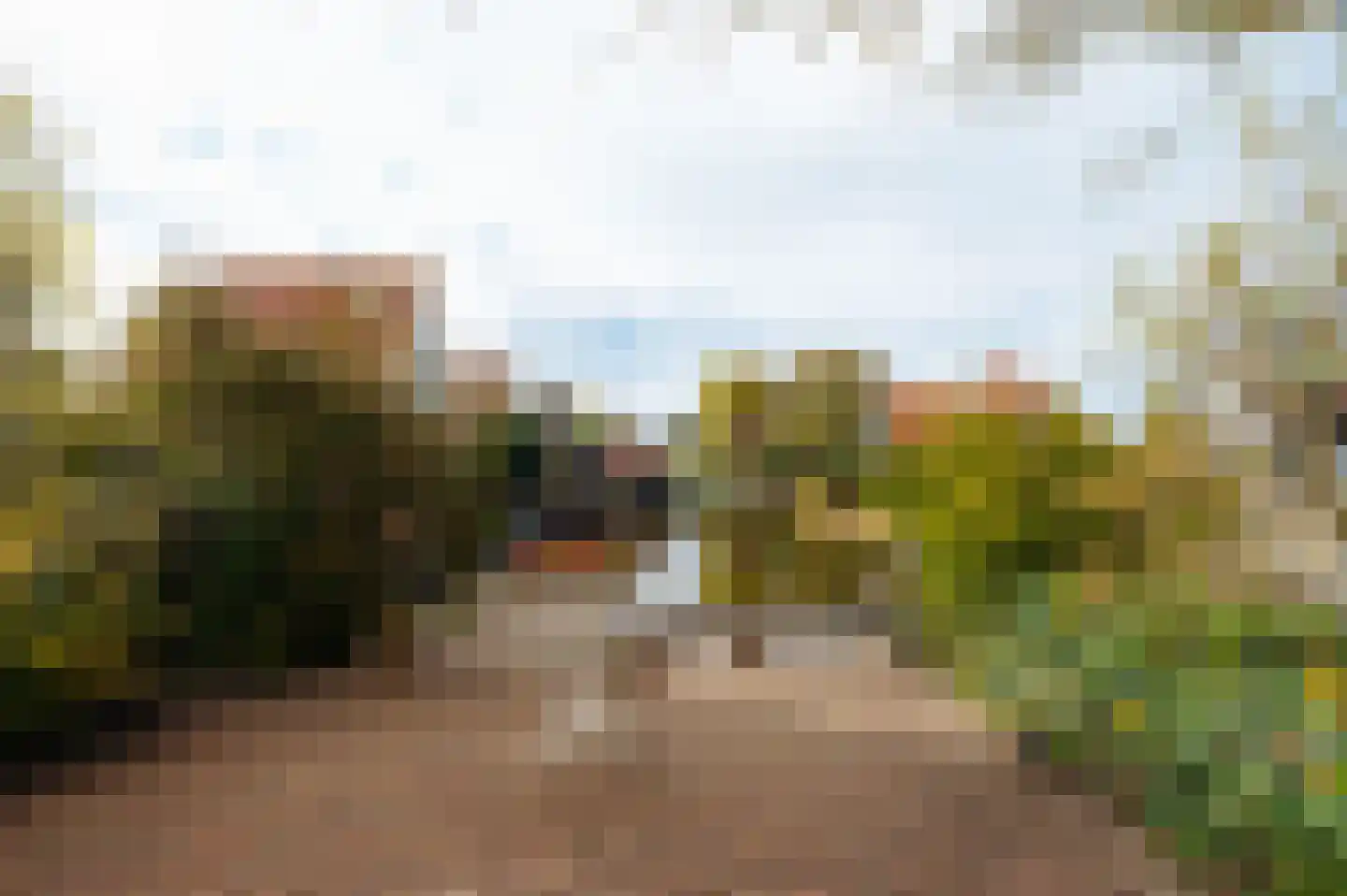 Zuidje 1 Schermerhorn thumbnail 31