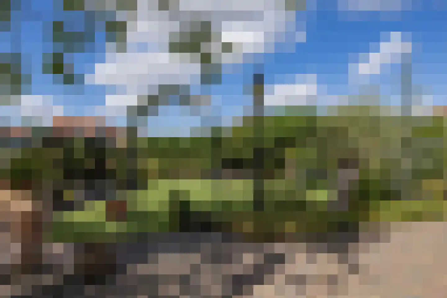 Zuidje 1 Schermerhorn thumbnail 33