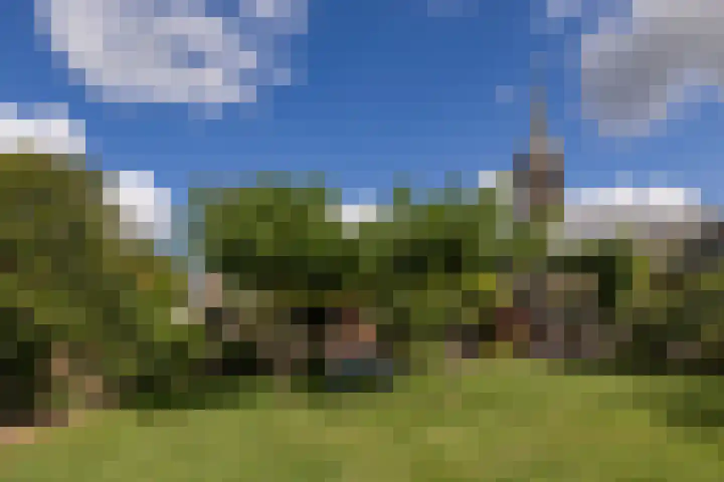 Zuidje 1 Schermerhorn thumbnail 34