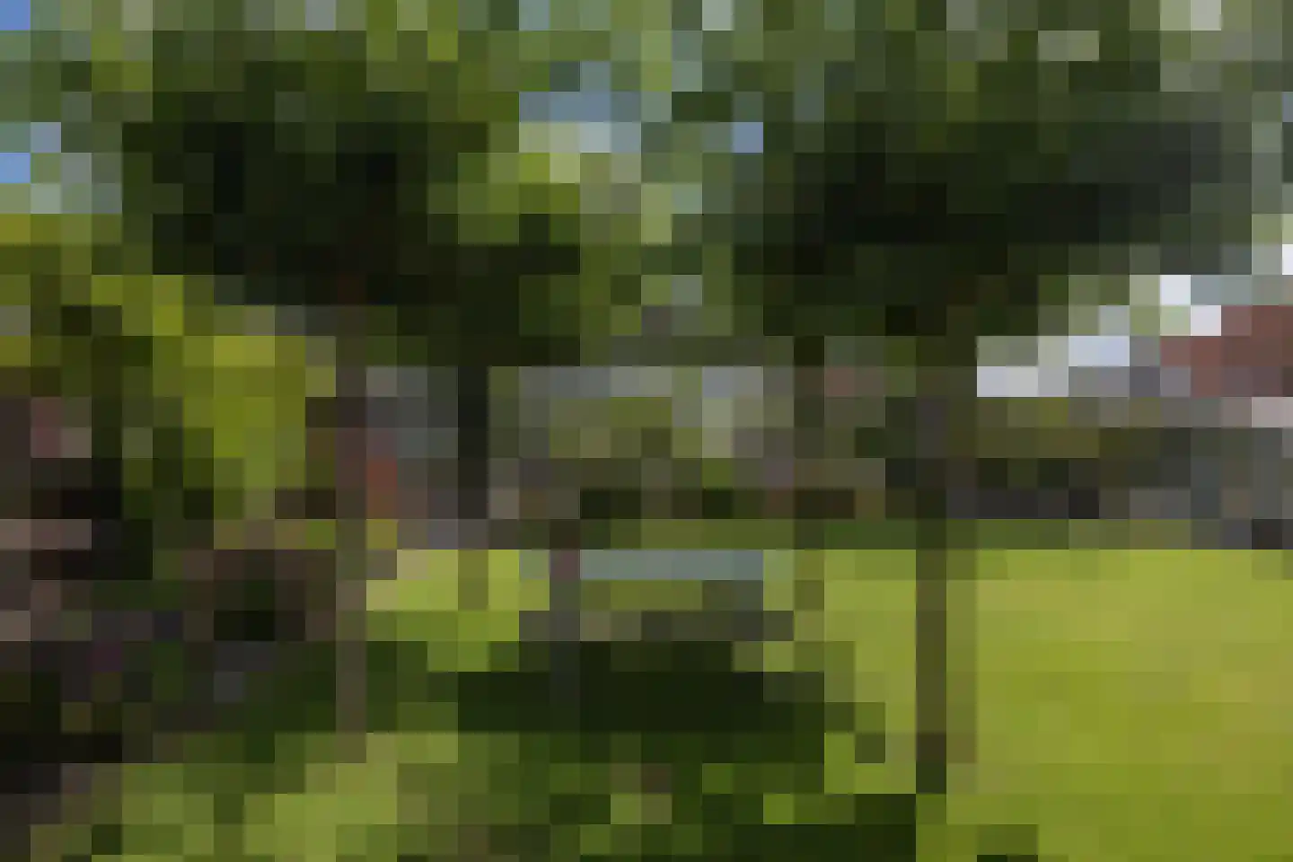 Zuidje 1 Schermerhorn thumbnail 35