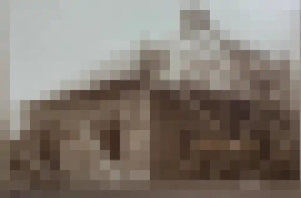 Zuidje 1 Schermerhorn thumbnail 37