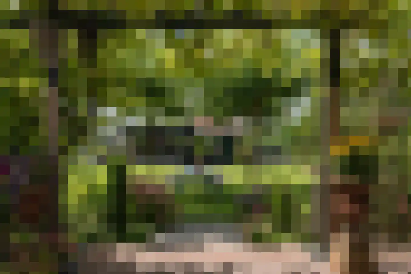 Zuidje 1 Schermerhorn thumbnail 4