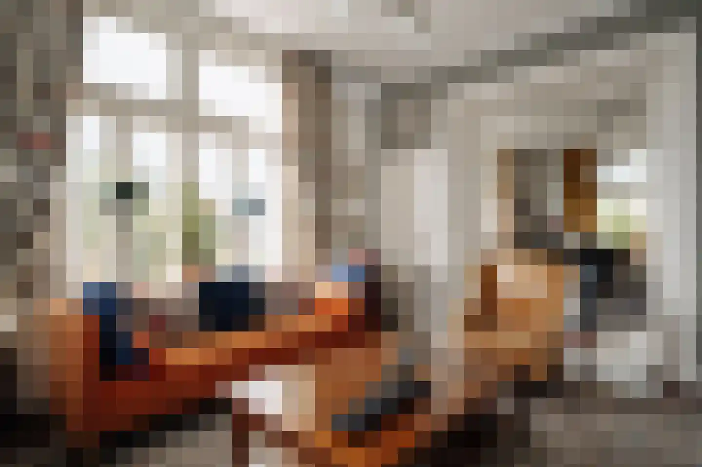 Zuidje 1 Schermerhorn thumbnail 5