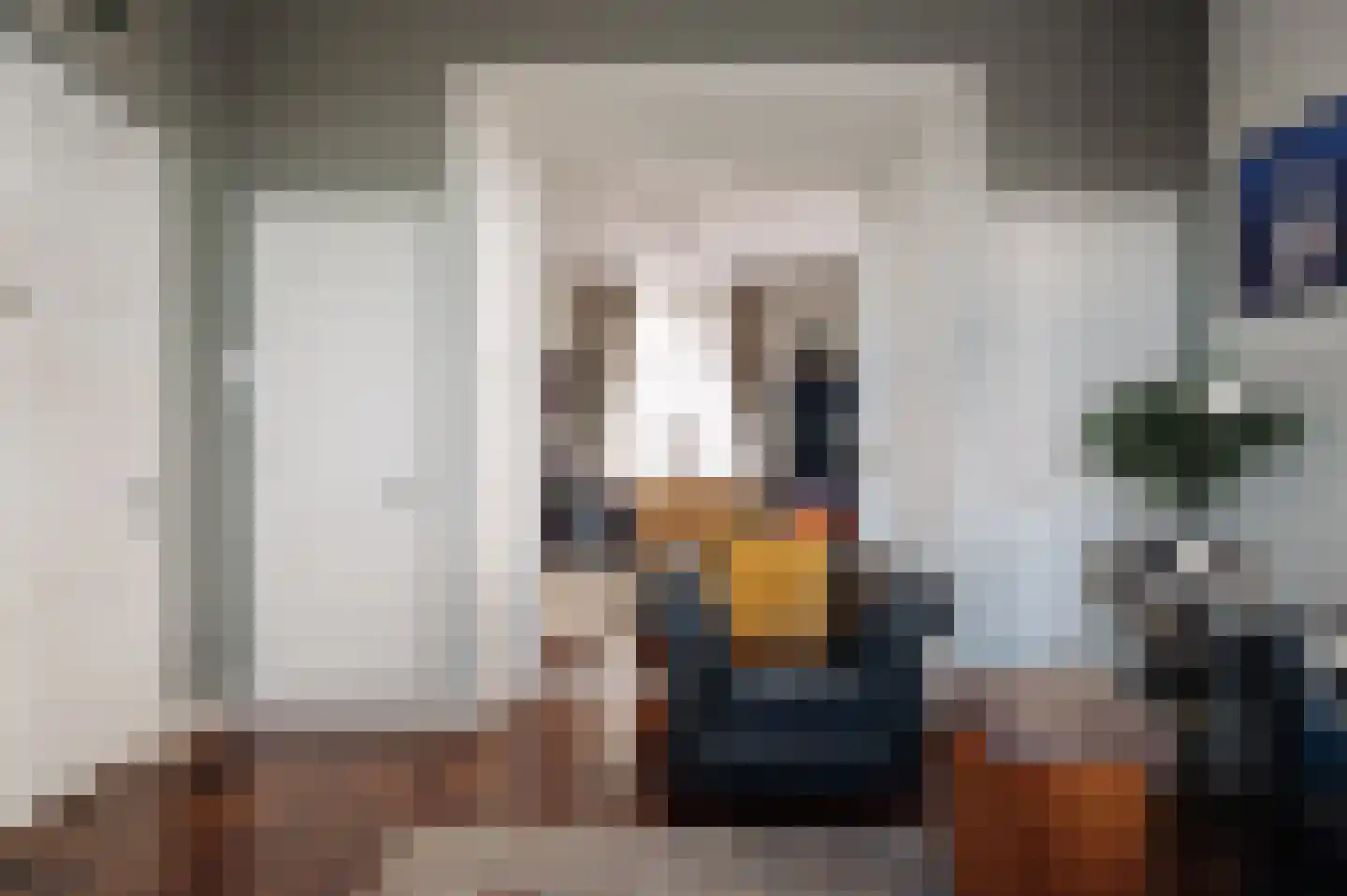 Zuidje 1 Schermerhorn thumbnail 6