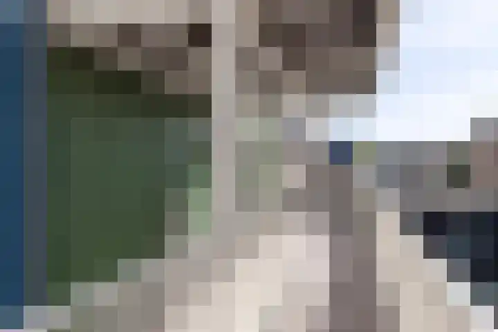 Zuidje 20 C Schermerhorn thumbnail 37