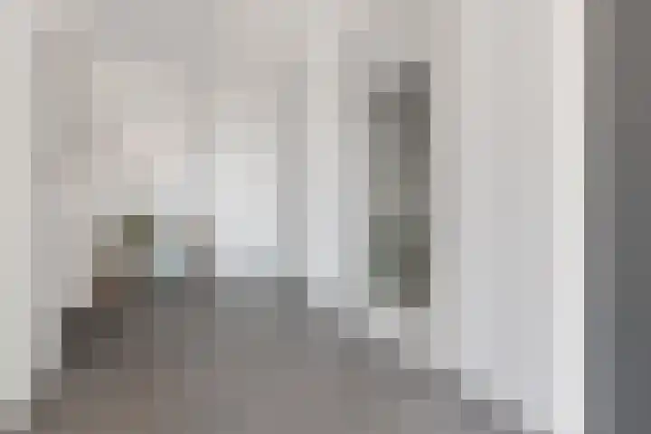 Zuidje 20 C Schermerhorn thumbnail 52