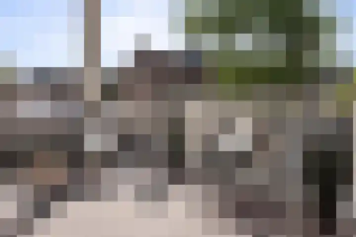 Zuidje 20 C Schermerhorn thumbnail 54