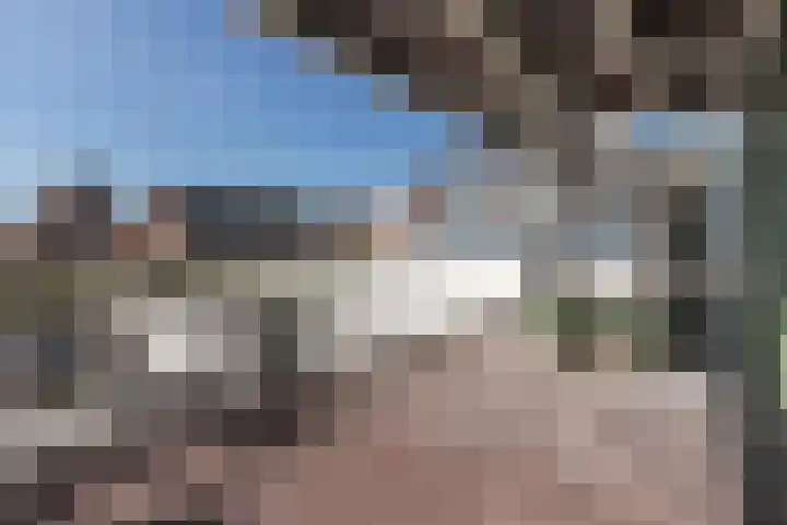 Zuidje 20 C Schermerhorn thumbnail 55