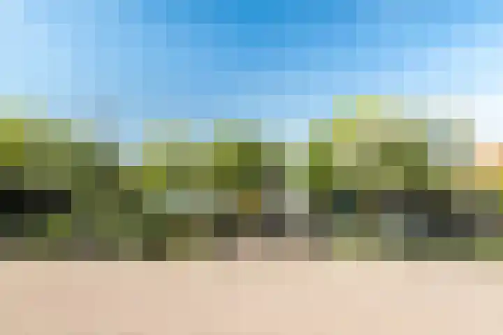 Zuidje 20 C Schermerhorn thumbnail 57