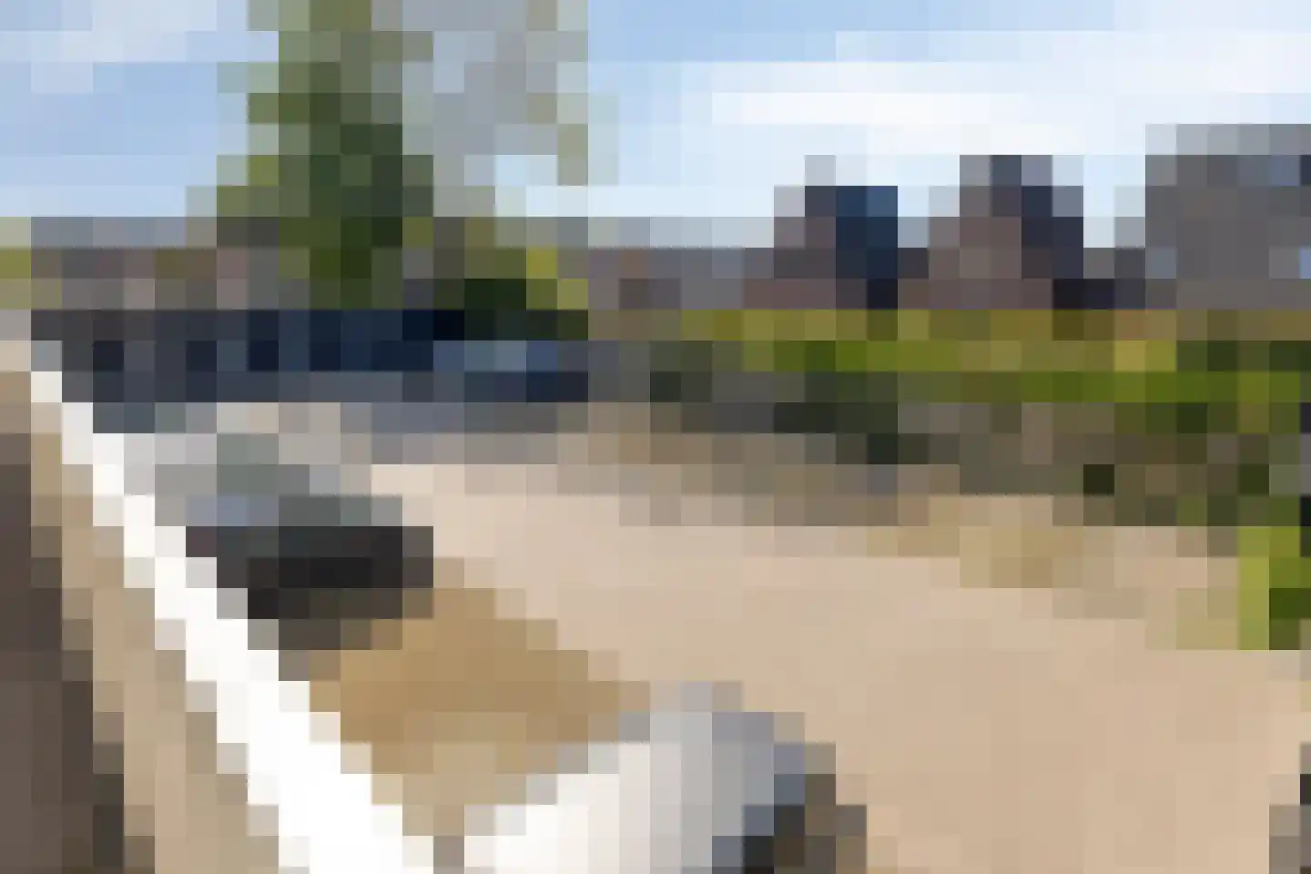 Zuidje 20 D Schermerhorn thumbnail 34
