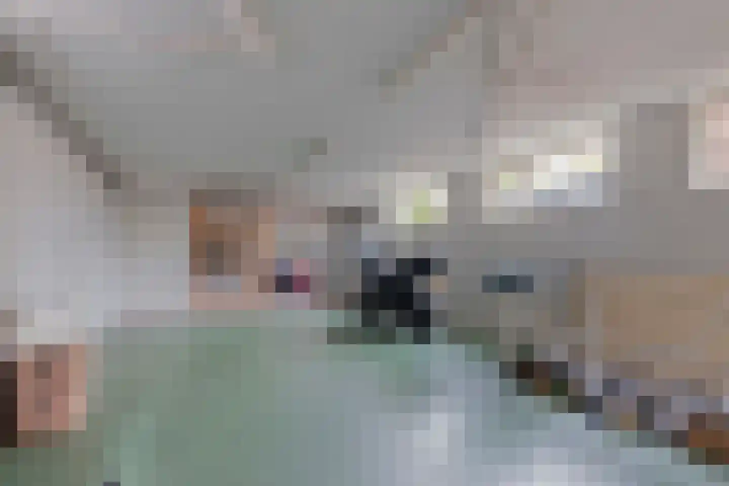 Zuidkade 100 Waddinxveen thumbnail 22