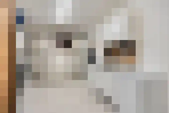 Zuidkade 124 Boskoop thumbnail 10