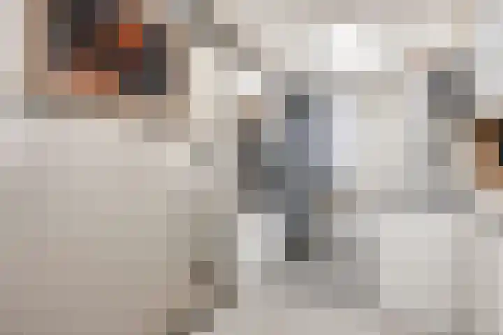 Zuidkade 124 Boskoop thumbnail 11