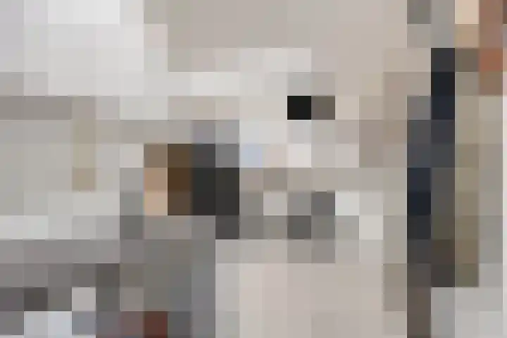 Zuidkade 124 Boskoop thumbnail 12