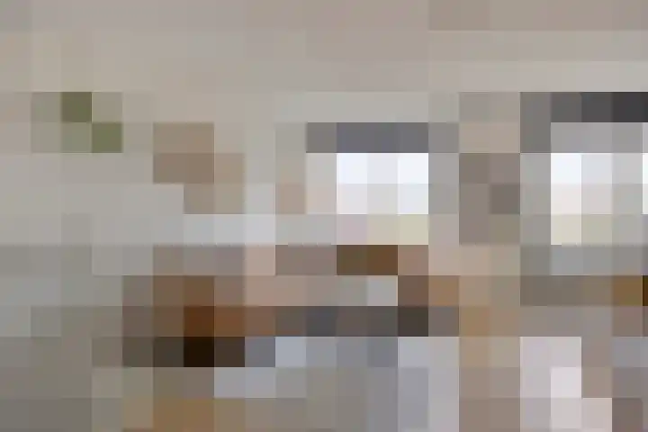 Zuidkade 124 Boskoop thumbnail 15