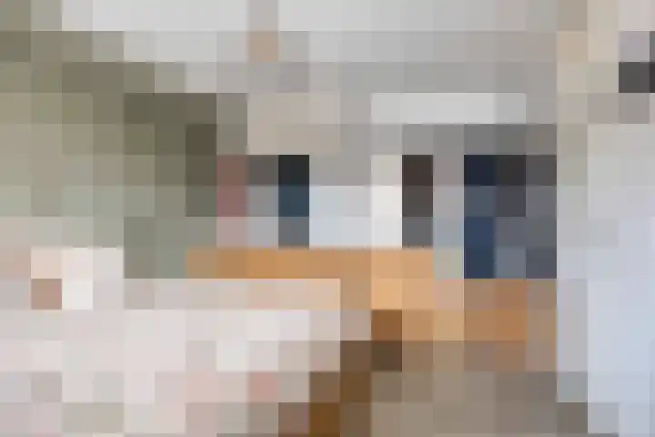 Zuidkade 124 Boskoop thumbnail 5