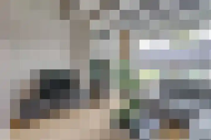 Zuidkade 190 Waddinxveen thumbnail 12
