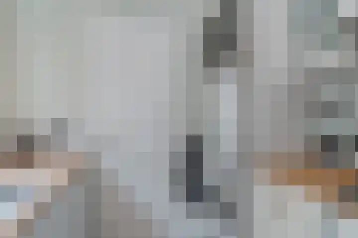 Zuidkade 190 Waddinxveen thumbnail 23