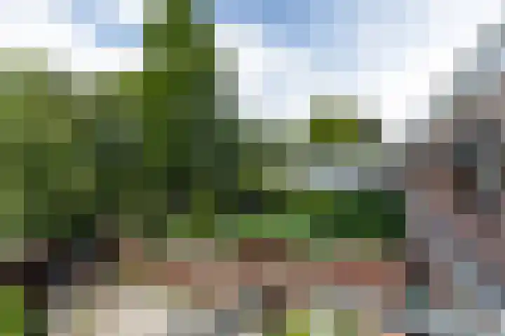 Zuidkade 190 Waddinxveen thumbnail 33